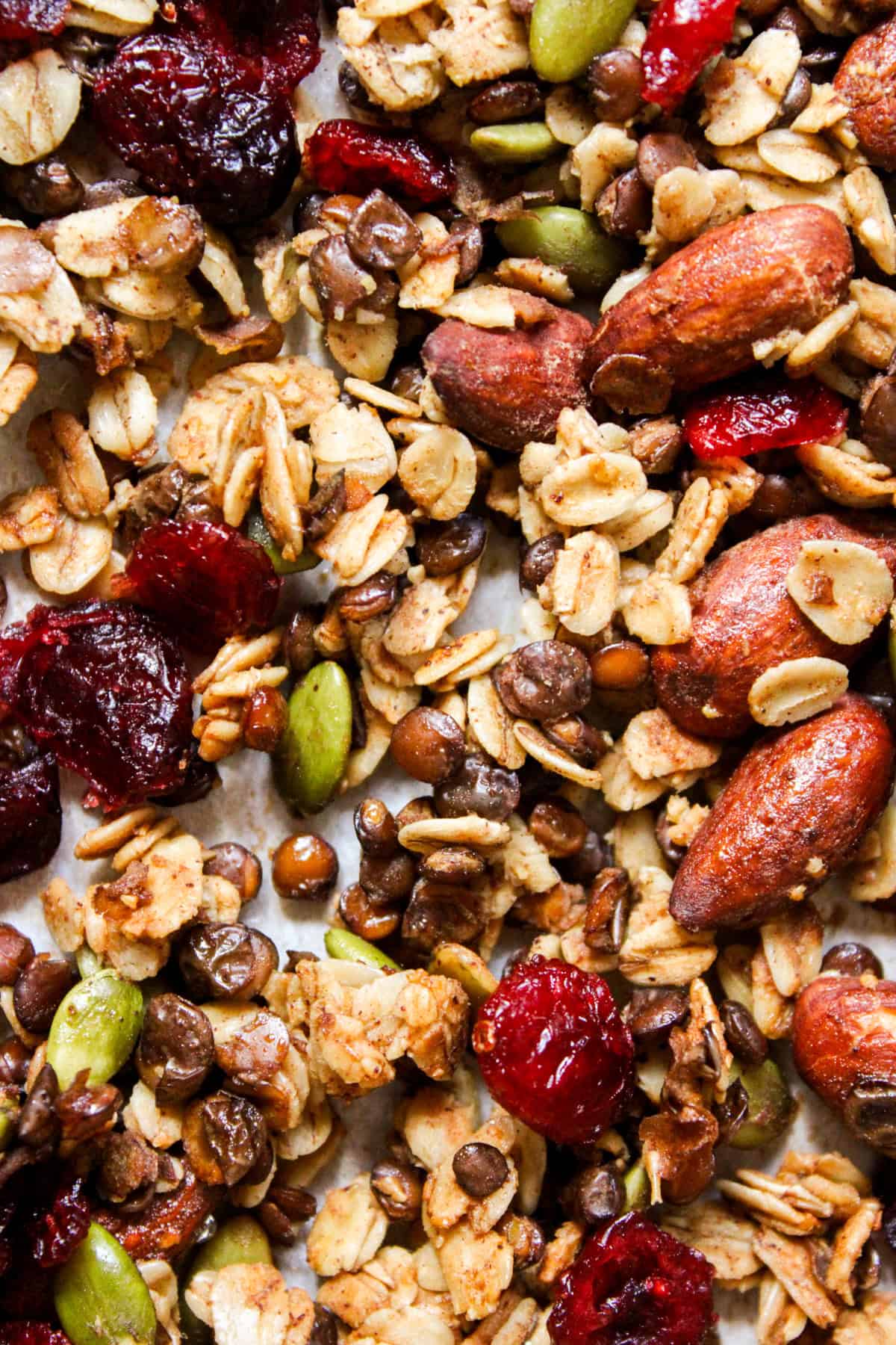 close up of oat granola with lentils, almonds and dried cranberries